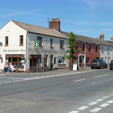 The Sycamore Tree Longtown Esterno foto